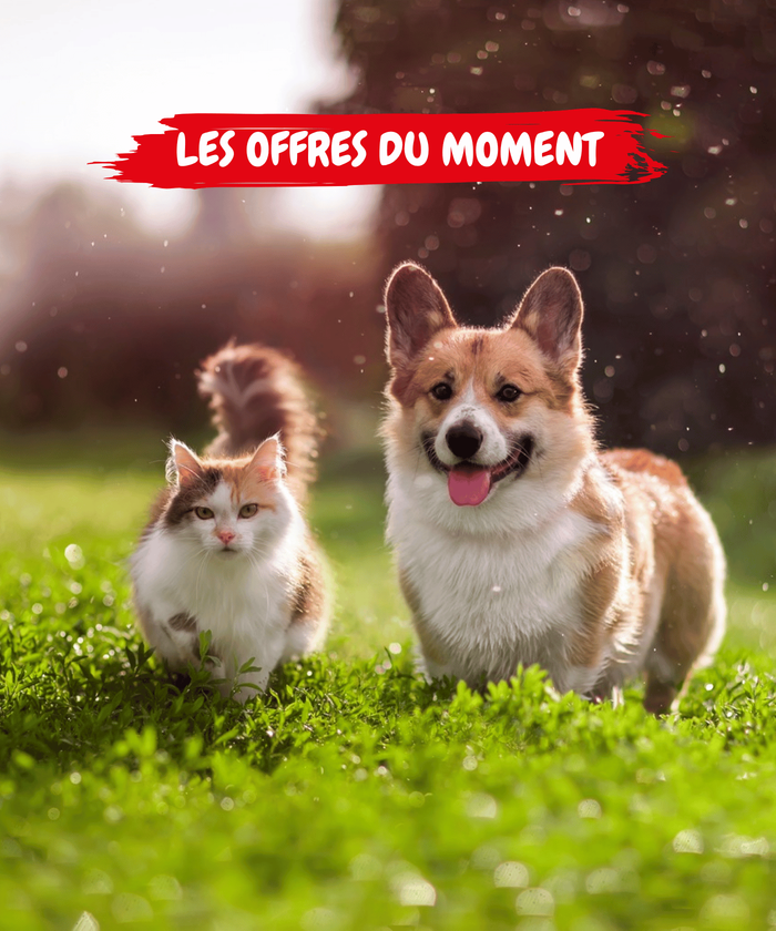 TG_MOBILE_OFFRE DU MOMENT
