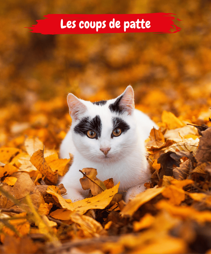 TETE DE GONDOLE_OP_RECRU01_MOBILE_V2