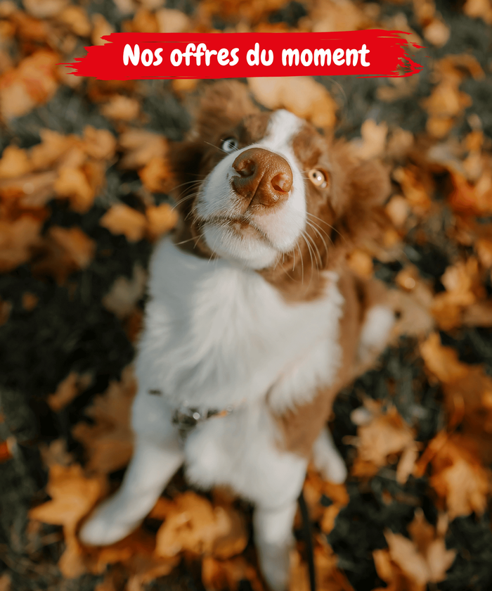 Tête_de_gondole_Mobile_OPPROZYM+WEENECT