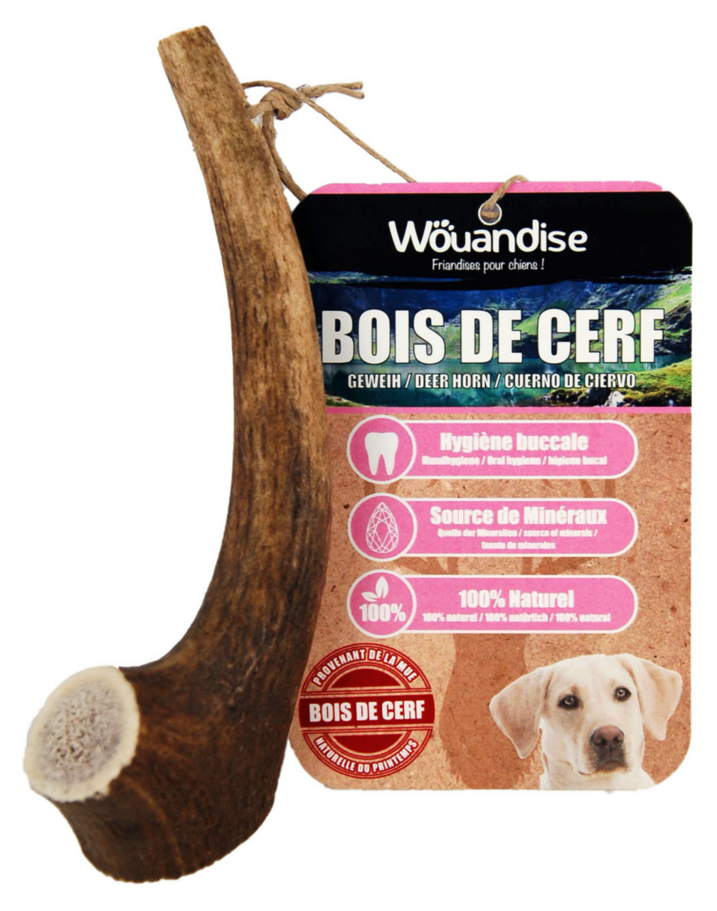 4 Bois De Cerf Brut – Circ 10/11 Cm – Pour Artisanat, Chien, Coutellerie