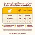 Visuel 4 sur 5