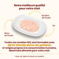 Visuel 3 sur 4