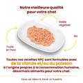 Visuel 3 sur 4