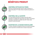 Visuel 6 sur 6