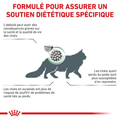 Visuel 4 sur 6