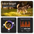 Visuel 3 sur 9