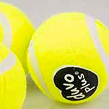 Visuel 1 du produit Duvoplus Jouet Chien Balle De Tennis Jaune - Ø 13 cm