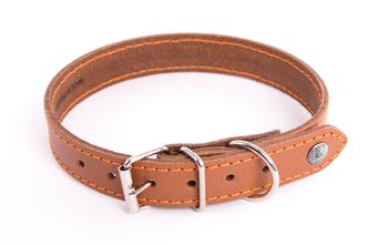 Visuel 1 du produit Martin Sellier Collier Chien Cuir Cognac Orange Flash - Taille 22/47