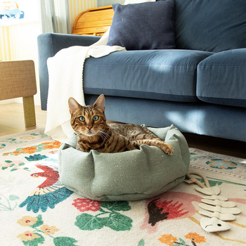Visuel 2 du produit Scruffs Couchage Chat Corbeille Eco Eden Vert - Ø 45 cm