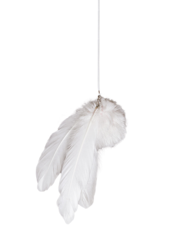 Visuel 1 du produit Petrebels Jouet Chat Funky Rebels x3 Blanc - 6 x 6 cm