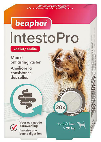 Visuel 1 du produit Beaphar Comprimés Chien Confort Intestinal IntestoPro - Boîte de 20 comprimés