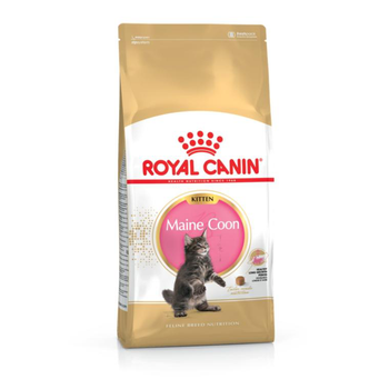 Visuel 1 du produit Royal Canin Croquettes Chaton Maine Coon - 2 kg