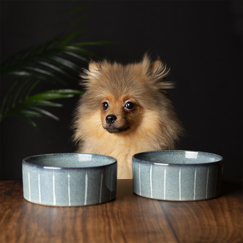 Visuel 2 du produit Scruffs Gamelle Chien Céramique Reactive Glaze Bleu Rayures – 13 x 13 x 5 cm