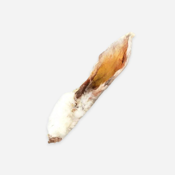 Visuel 1 du produit Bubimex Oreille de lapin avec poils pour Chien - Vendu à l'unité