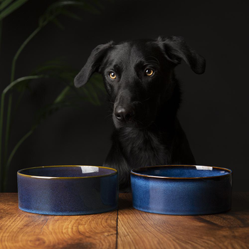 Visuel 2 du produit Scruffs Gamelle Chien Céramique Bleu nuit - 19 x19 x 8 cm
