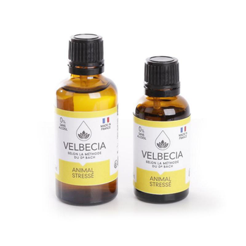 Visuel 1 du produit Velbecia Martin Sellier Fleurs De Bach Animal Stressé Sans Alcool Made In France - 50 ml