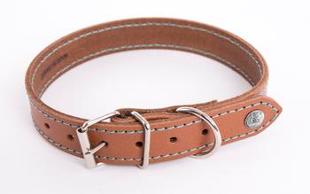Visuel 1 du produit Martin Sellier Collier Chien Cuir Cognac Turquoise Flash - Taille 18/35