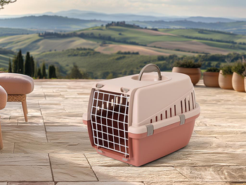 Visuel 2 du produit Savic Panier de transport Trotter 1 Champagne - 49 x 33 x 30 cm