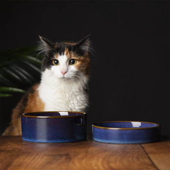 Visuel 2 du produit Scruffs Gamelle Chat Céramique Bleu nuit - 13 x 13 x 3 cm