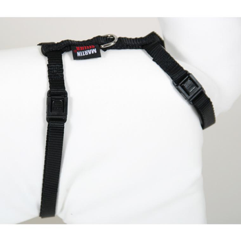 Visuel 1 du produit Harnais Chat – Martin Sellier Harnais Chat Nylon noir - 35 à 50 cm