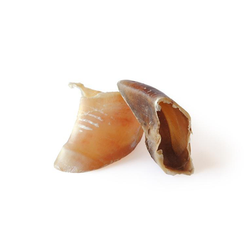 Visuel 1 du produit Bubimex Sabot de veau 5 x 5 x 5 cm - En vrac à l'unité