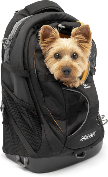 Visuel 1 du produit Kurgo G-Train Sac à dos de transport Noir - 52 x 40 x 17 cm