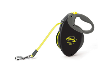 Visuel 1 du produit Laisse Chien – Zolux Flexi Giant M – 8 m