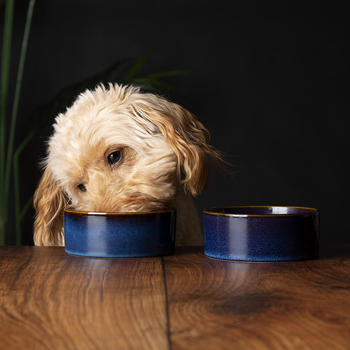 Visuel 2 du produit Scruffs Gamelle Chien Céramique Bleu nuit - 13 x 13 x 5 cm