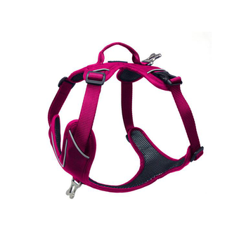 Visuel 1 du produit Harnais Chien - Kyflie Harnais Momentum Taille XS Rose - 33 / 44 cm