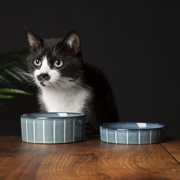 Visuel 2 du produit Scruffs Gamelle Chat Céramique Reactive Glaze Bleu Rayures – 13 x 13 x 3 cm