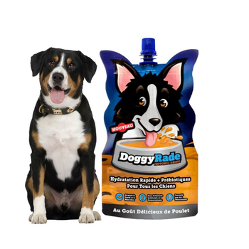 Visuel 1 du produit Doggygrade Boisson Isotonique Chien Saveur Poulet - 500 ml