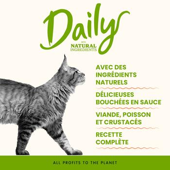 Visuel 2 du produit Sachet Chat - Almo Nature Daily avec poulet et canard - 70 gr