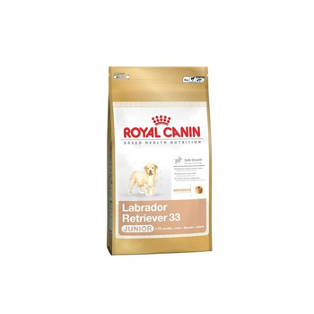 Visuel 2 du produit Royal Canin Croquettes Chiot Labrador Retriever - 12 kg