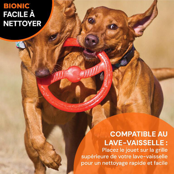 Visuel 2 du produit Bionic Jouet Chien Anneau Toss-N-Ring Orange - Ø 23 cm