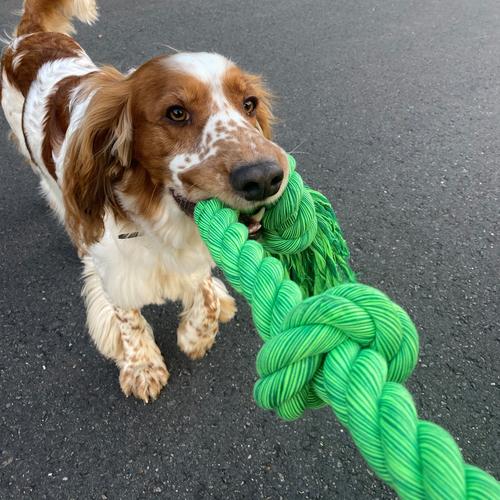 Visuel 3 du produit Duvoplus Jouet Chien Corde 5 Nœuds Vert XXXXXL Floss - Taille 130 x 14 x 12 cm