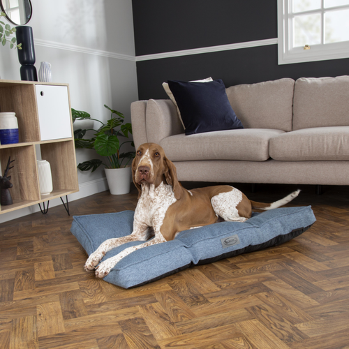 Visuel 6 du produit Couchage Chien – Scruffs Coussin Manhattan Bleu – Taille M