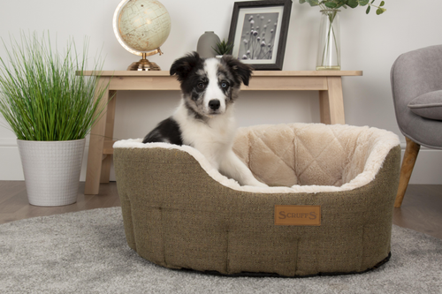 Visuel 5 du produit Couchage - Scruffs Corbeille ovale Woodlands Taille L Vert - Ø 75 cm