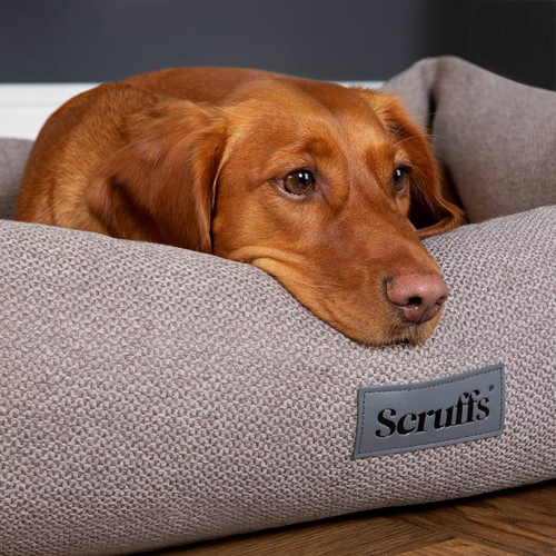 Visuel 5 du produit Scruffs Couchage Chien Corbeille Seattle Gris - Taille M 60 x 50 x 16 cm