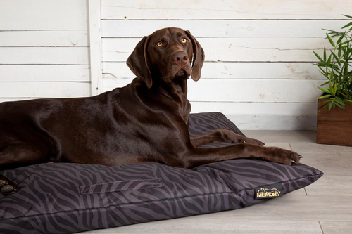 Visuel 5 du produit Couchage Chien – Scruffs Coussin Expédition Noir – Taille L