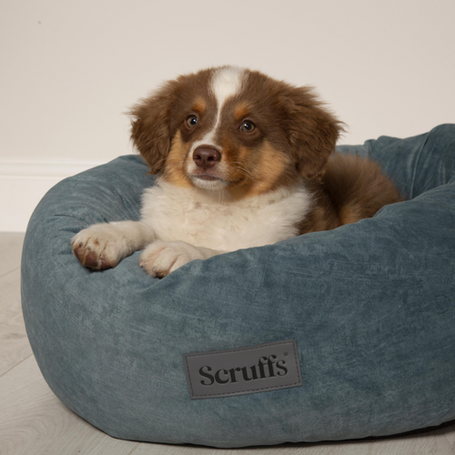 Visuel 4 du produit Couchage Chien - Scruffs Donut Oslo Taille L Vert - Ø 65 cm
