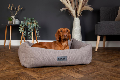 Visuel 3 du produit Scruffs Couchage Chien Corbeille Seattle Gris - Taille M 60 x 50 x 16 cm