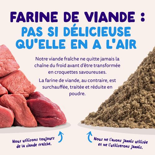 Visuel 10 du produit Edgard & Cooper Croquettes Chien Adulte Saumon Sans Céréales - 12 kg