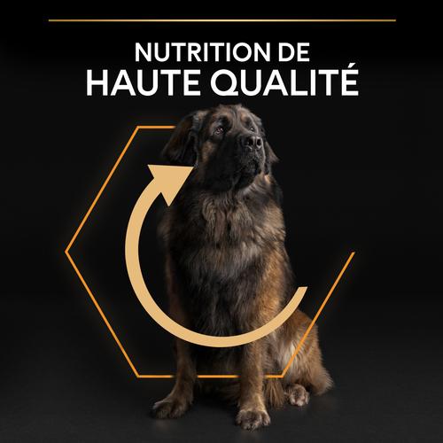 Visuel 9 du produit Croquettes Chien - ProPlan Large Adult Robust - 14 + 2,5 kg offerts