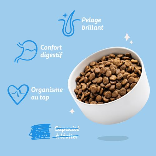 Visuel 7 du produit Edgard & Cooper Croquettes Chien Adulte Saumon Sans Céréales - 2,5 kg