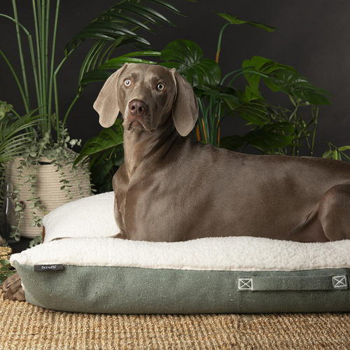 Visuel 3 du produit Scruffs Couchage Chien Coussin Eco Eden Gris - Taille XL 120 x 75 cm