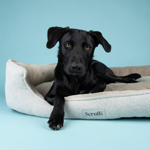 Visuel 4 du produit Scruffs Couchage Chien Orthopédique Corbeille Harvard Marron - Taille XXL 110 x 82 x 22 cm