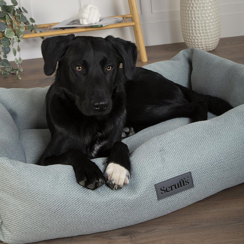 Visuel 7 du produit Scruffs Couchage Chien Corbeille Seattle Vert - Taille M 60 x 50 x 16 cm