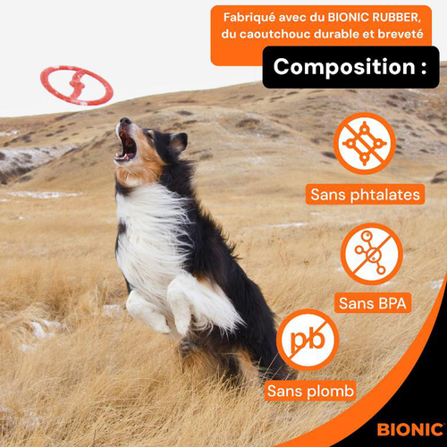 Visuel 3 du produit Bionic Jouet Chien Anneau Toss-N-Ring Orange - Ø 23 cm