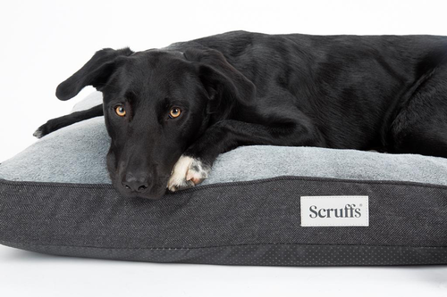 Visuel 10 du produit Scruffs Couchage Chien Coussin Orthopédique Harvard Gris - Taille L 100 x 70 x 12 cm