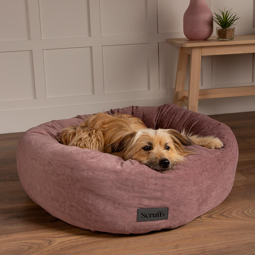 Visuel 7 du produit Couchage Chien - Scruffs Donut Oslo Taille L Rose - Ø 65 cm